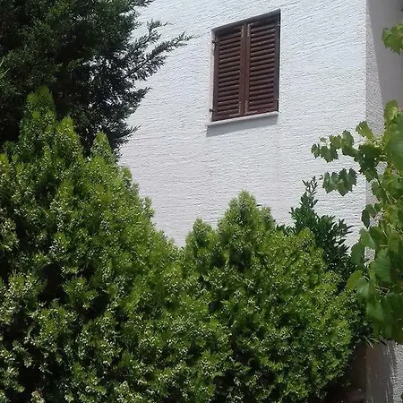 By The Sea - 17491 * Vir