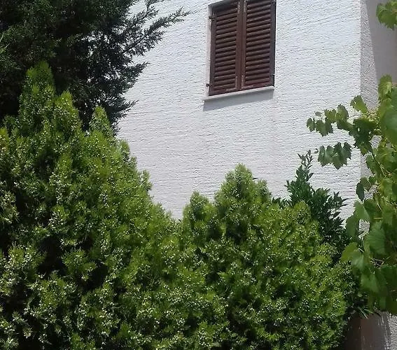 By The Sea - 17491 * Vir